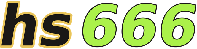 hs666 logo